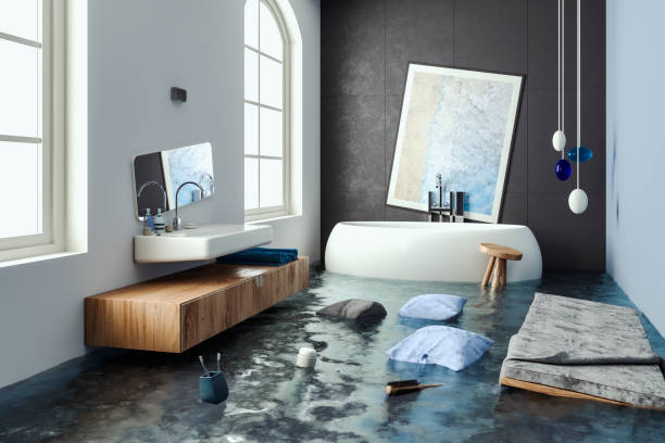 Best Sewage cleanup and water damage restoration  in Silver Spring, MD