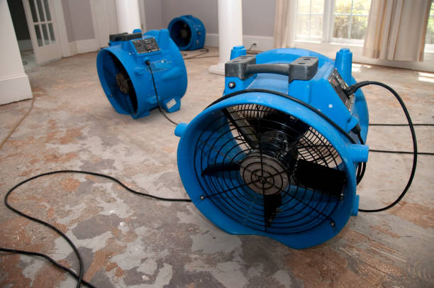 Silver Spring, MD Water damage restoration Pros