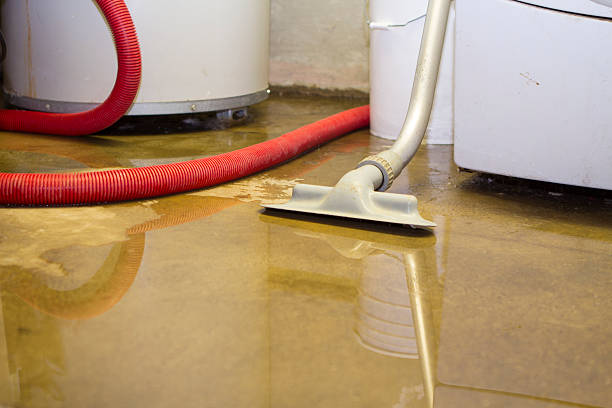 Best Emergency water damage restoration  in Silver Spring, MD