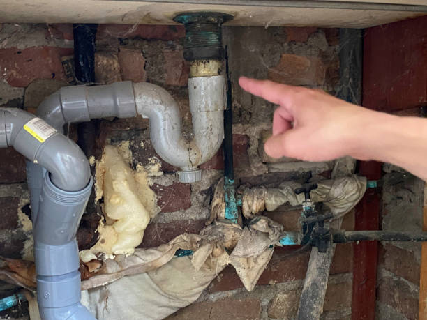 Reliable Silver Spring, MD Water damage restoration Solutions