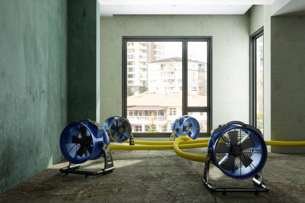 Best Basement water damage restoration  in Silver Spring, MD